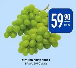 Rema 1000 AUTUMN CRISP DRUER tilbud