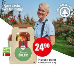 Spar NORSKE EPLER tilbud