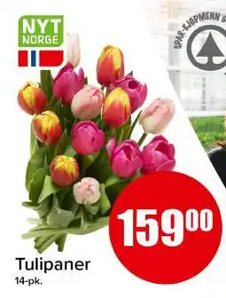 Spar Tulipaner tilbud