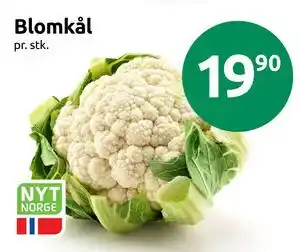Blomkål