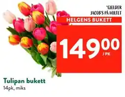 Jacobs Tulipan bukett tilbud