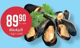 Blåskjell
