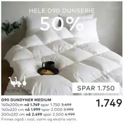 Skeidar Norsk Dun D90 Dun Dyner Medium tilbud