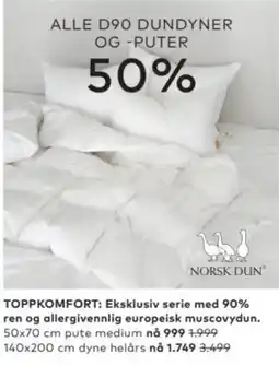Skeidar Norsk Dun Alle D90 Dundyner Og -Puter tilbud