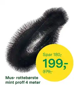 Felleskjøpet Mus- rottebørste mint proff tilbud