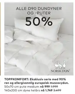 Skeidar ALLE D90 DUNDYNER OG -PUTER tilbud