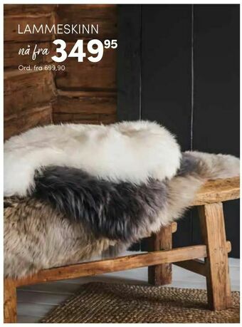 Nille LAMMESKINN tilbud