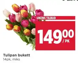 Meny Tulipan bukett tilbud