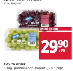 Meny Cevita druer tilbud