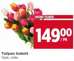 Meny Tulipan bukett tilbud