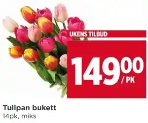 Meny Tulipan bukett tilbud