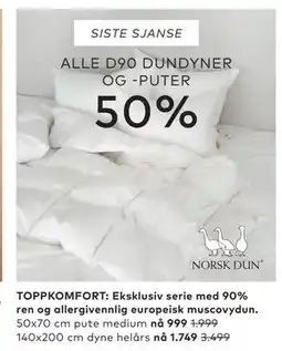 Skeidar ALLE D90 DUNDYNER OG -PUTER tilbud
