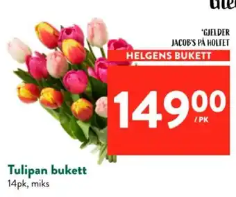 Jacobs Tulipan bukett tilbud