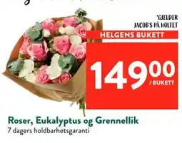 Jacobs Roser, Eukalyptus og Grennellik tilbud