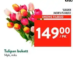 Jacobs Tulipan bukett tilbud