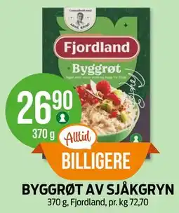 Kiwi BYGGRØT AV SJÅKGRYN tilbud