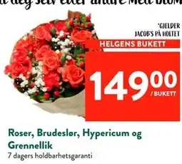 Jacobs Roser, Brudeslør, Hypericum og Grennellik tilbud