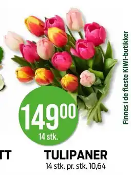 Kiwi TULIPANER tilbud