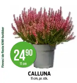 Kiwi CALLUNA tilbud