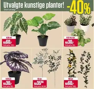 Europris Utvalgte kunstige planter tilbud