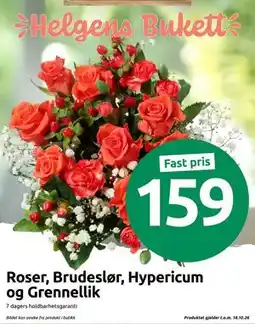 Joker Roser, Brudeslør, Hypericum og Grennelli tilbud