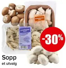 Spar Sopp tilbud