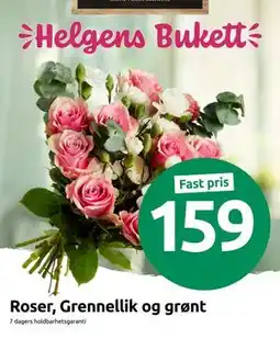 Joker Roser, Grennellik og grønt tilbud
