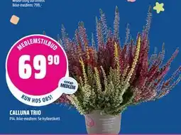 Coop Obs CALLUNA TRIO, Medlemspris tilbud