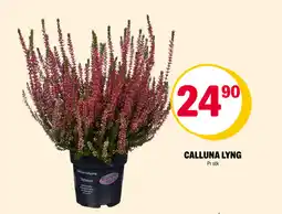 Coop Extra Calluna Lyng tilbud