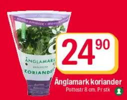 Coop Extra Änglamark koriander tilbud