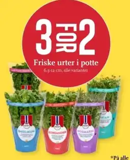 CC Mat Friske urter i potte tilbud