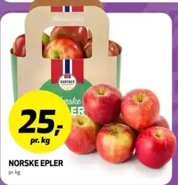 Bunnpris Gartner norske epler tilbud