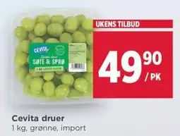 Meny Cevita druer tilbud