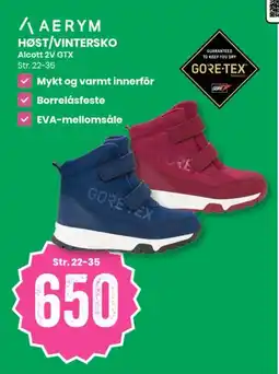 Sport Outlet Aerym Høst/Vintersko Alcott 2V GTX tilbud