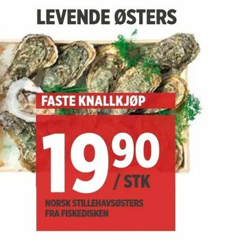 Meny Levende østers tilbud
