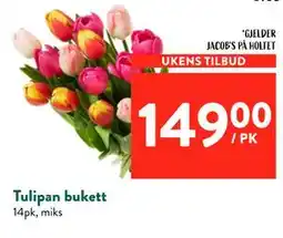 Jacobs Tulipan bukett tilbud
