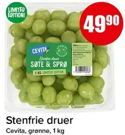 Spar Stenfrie druer tilbud