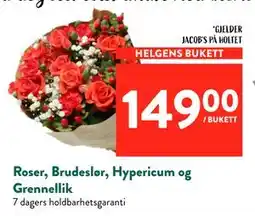 Jacobs Roser, Brudeslør, Hypericum og Grennellik tilbud