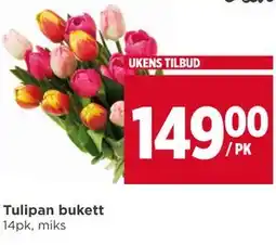 Meny Tulipan bukett tilbud