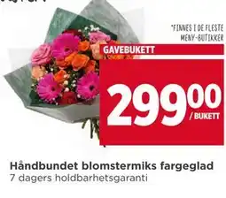 Meny Håndbundet blomstermiks fargeglad tilbud