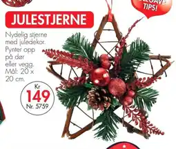 Nyttig Julestjerne tilbud