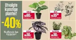 Europris Utvalgte kunstige planter tilbud