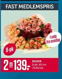 Europris ROSER, Medlemspris tilbud