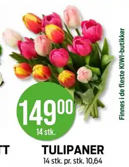 Kiwi TULIPANER tilbud