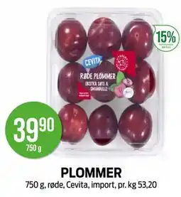 Kiwi PLOMMER tilbud
