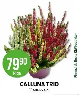 Kiwi CALLUNA TRIO tilbud