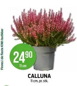 Kiwi CALLUNA tilbud