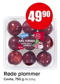 Spar Røde plommer tilbud