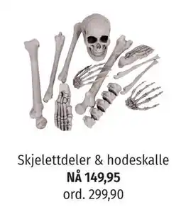 Nille Skjelettdeler & hodeskalle tilbud