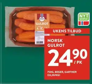 NORSK GULROT